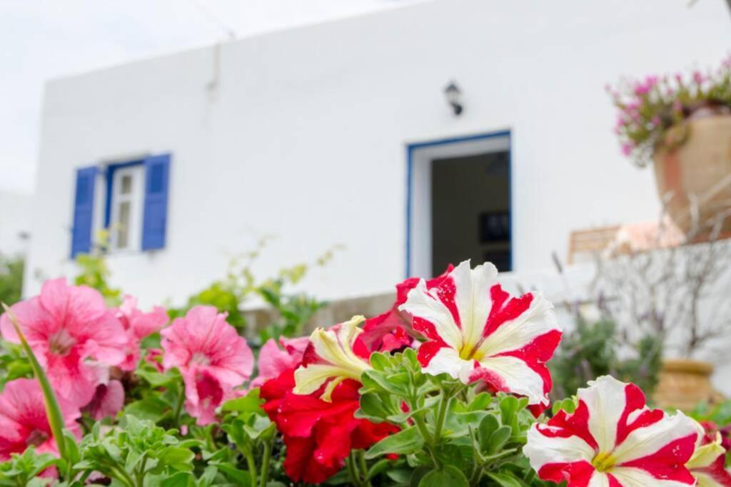 Cycladic Houses In Rural Surrounding 4 Tholaria Ngoại thất bức ảnh
